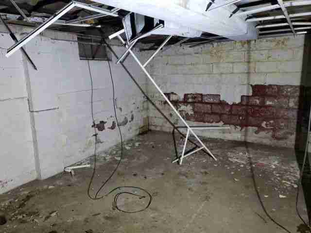 Testing again(18).jpg